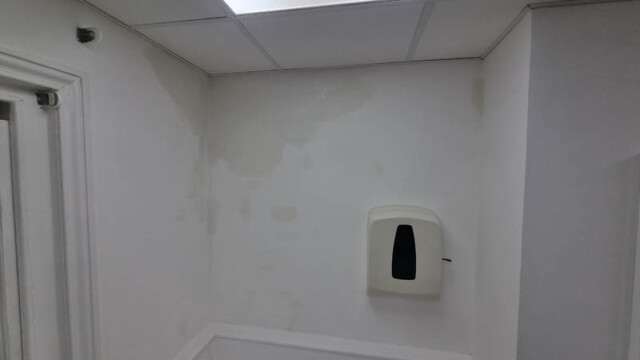 Painting And Wall Repair Brighton