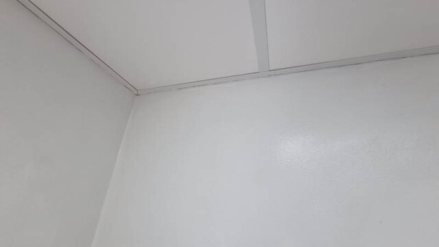 Brighton Dentist Wall Painting