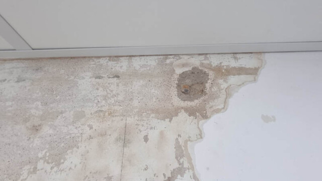 Wall Before Painting Brighton Dentist