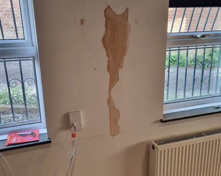 Wall Repair Wilson Avenue Brighton