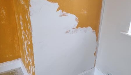 in progress decorating lewes
