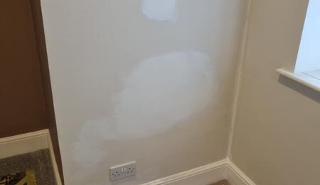 lewes decorating services