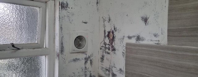 before decorating bathroom hove